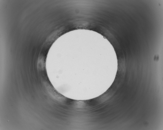 X0000112460287200909281029
