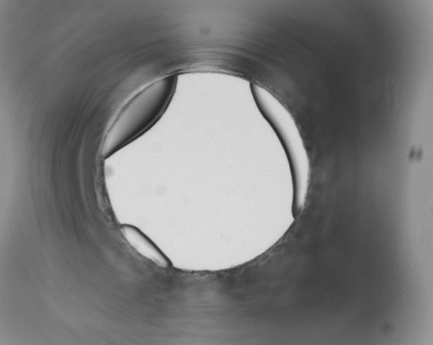 X0000112460289200909281028