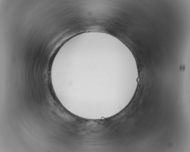 X0000112460290200909281028
