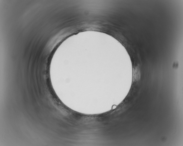 X0000112460291200909281028