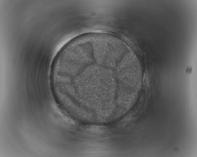 X0000112460292200909281028