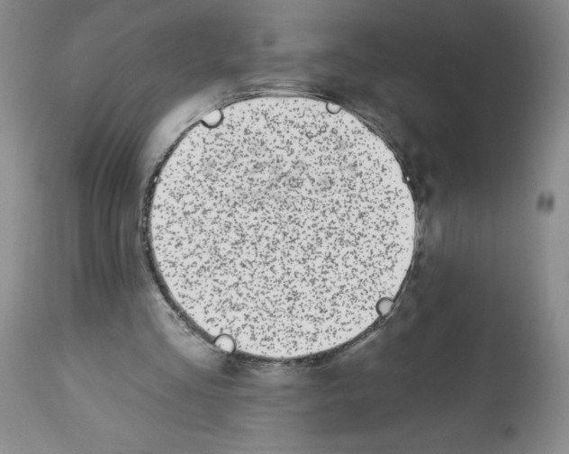 X0000112460293200909281028