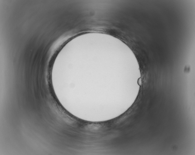 X0000112460294200909281028