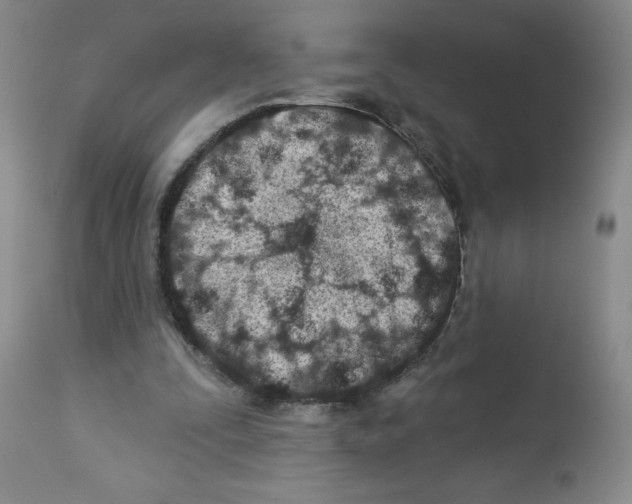 X0000112460295200909281028