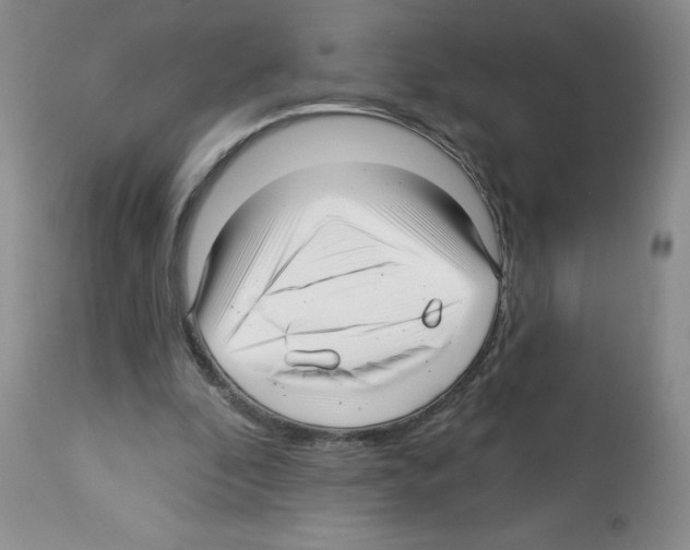 X0000112460296200909281028