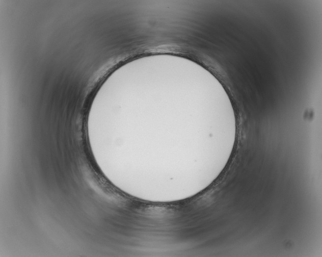X0000112460298200909281028