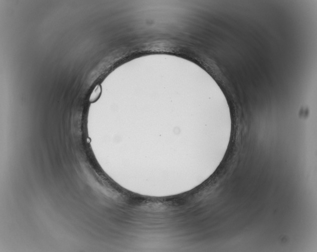 X0000112460299200909281028