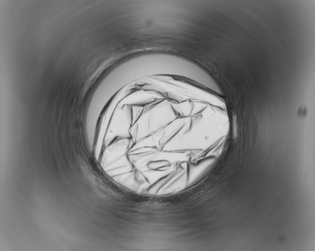 X0000112460300200909281028