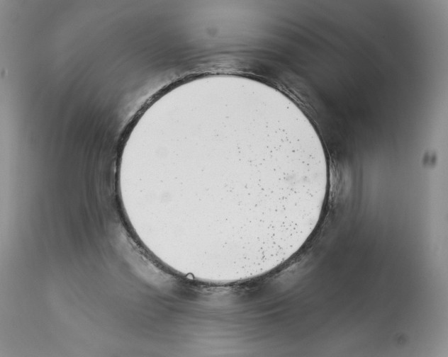 X0000112460301200909281028