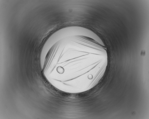 X0000112460308200909281027