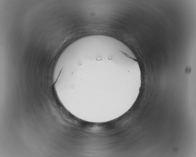 X0000112460312200909281027