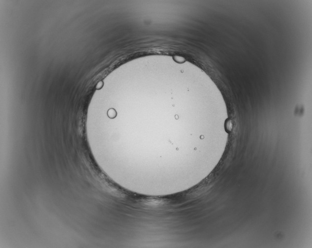 X0000112460313200909281027