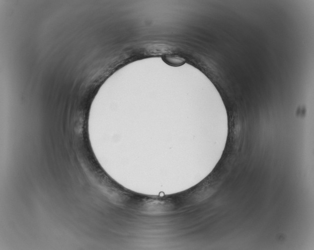 X0000112460315200909281027