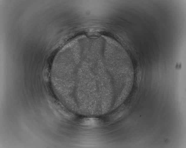X0000112460316200909281027
