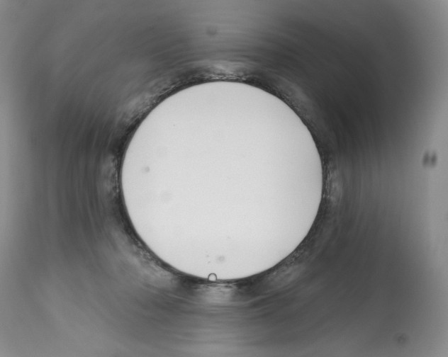 X0000112460318200909281027