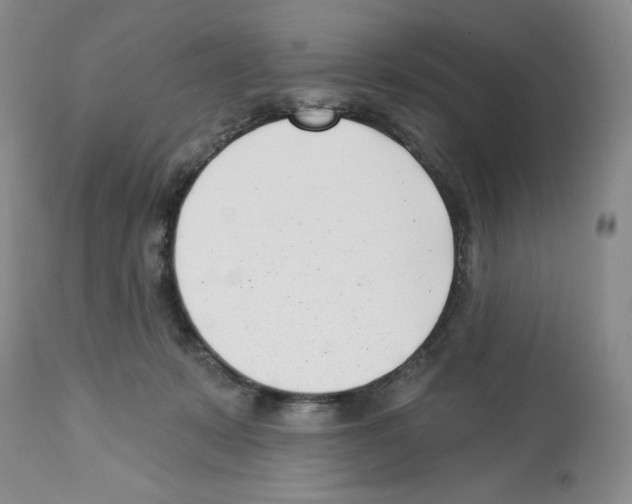 X0000112460319200909281027