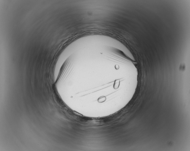 X0000112460320200909281027