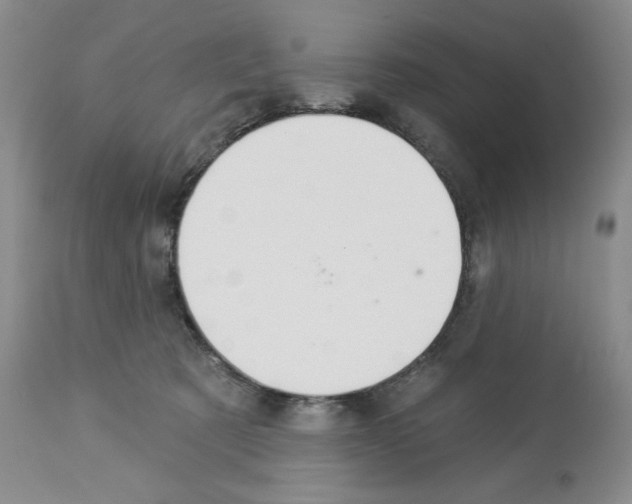 X0000112460321200909281027