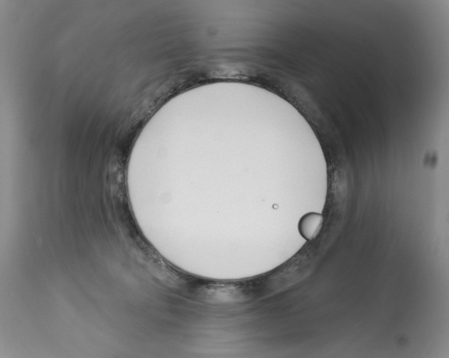 X0000112460322200909281027