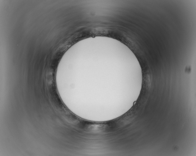 X0000112460323200909281027