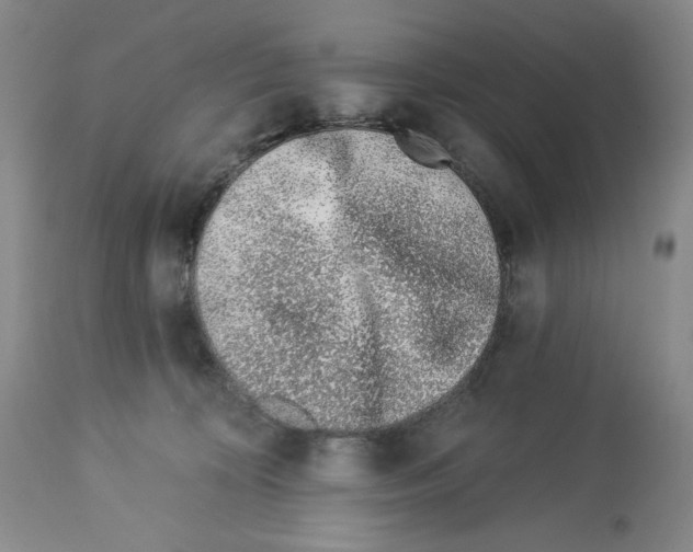 X0000112460324200909281027