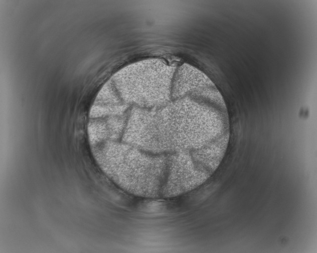 X0000112460325200909281027