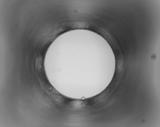 X0000112460326200909281027