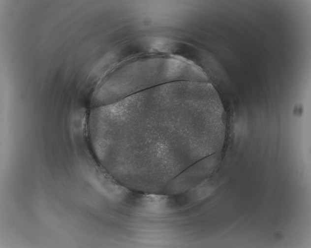 X0000112460328200909281027