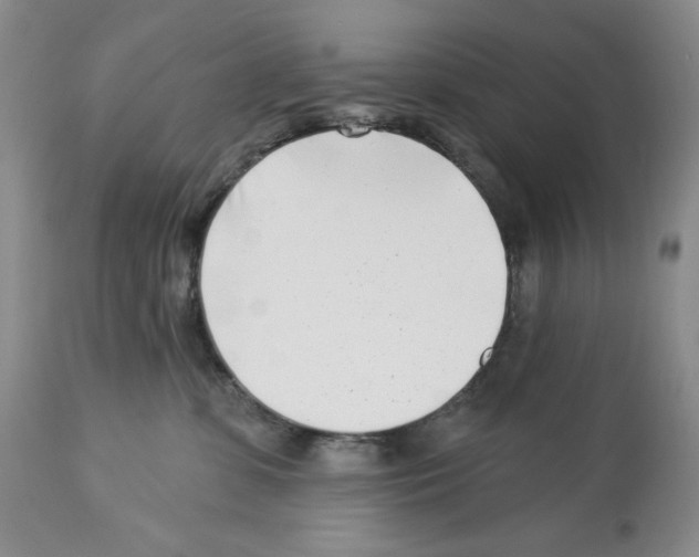 X0000112460331200909281027