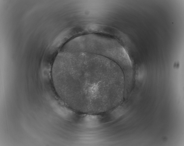 X0000112460332200909281027