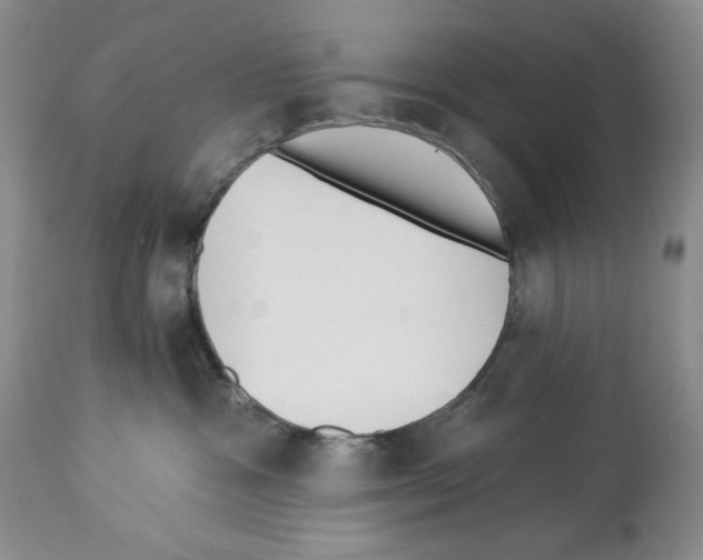 X0000112460333200909281027