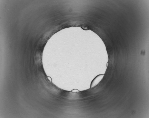 X0000112460335200909281027