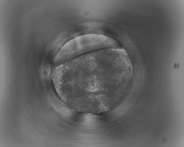X0000112460336200909281027