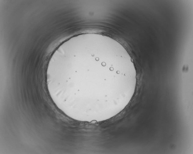 X0000112460337200909281026