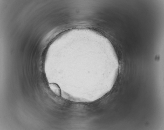 X0000112460339200909281026