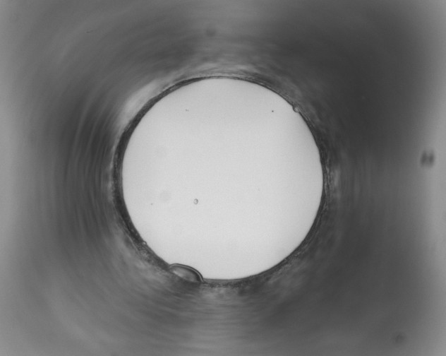 X0000112460340200909281026