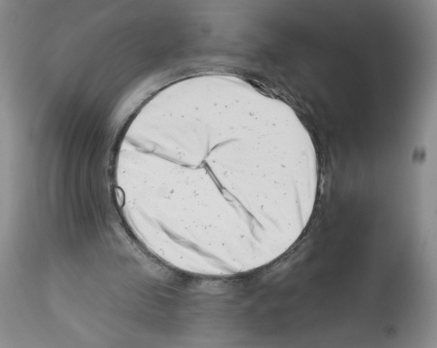 X0000112460341200909281026