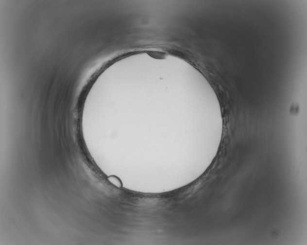 X0000112460342200909281026