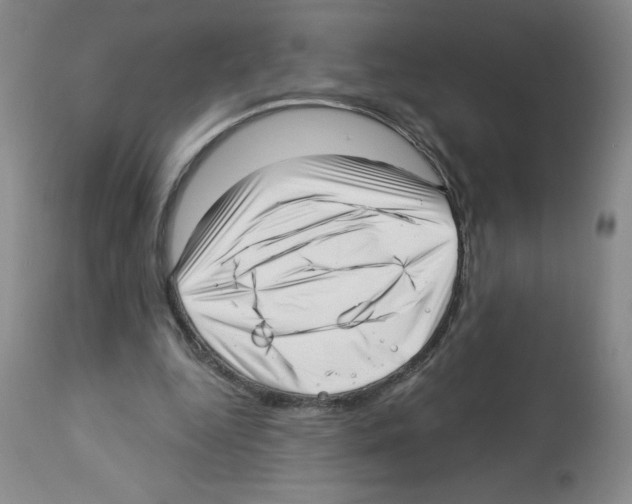 X0000112460344200909281026