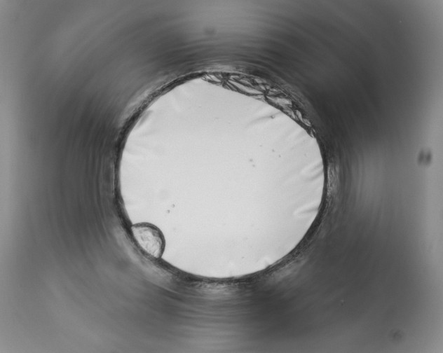 X0000112460349200909281026