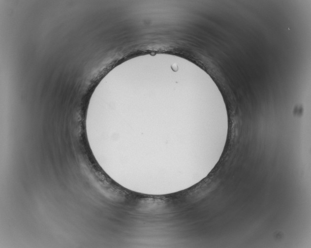 X0000112460354200909281026