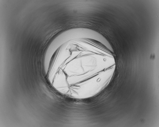 X0000112460360200909281026
