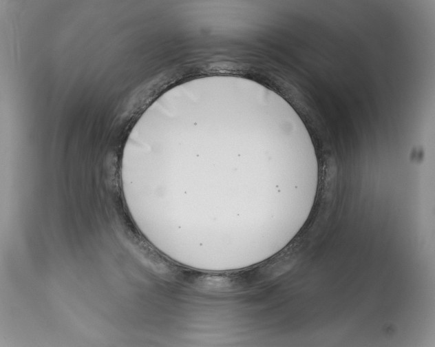 X0000112460361200909281027