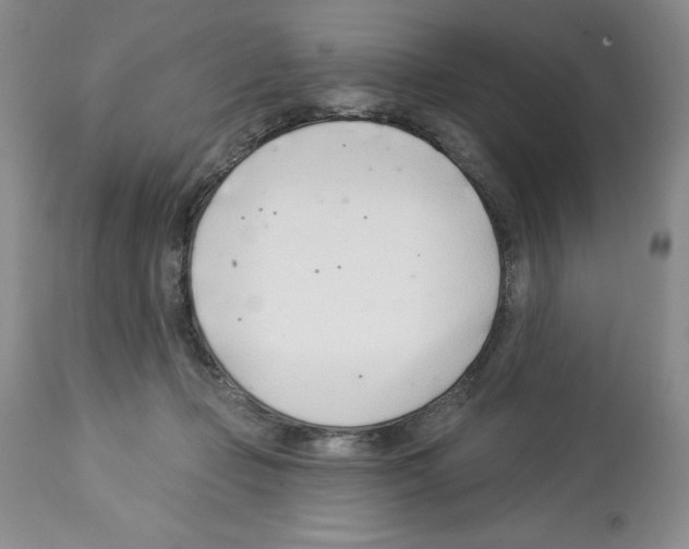 X0000112460365200909281027