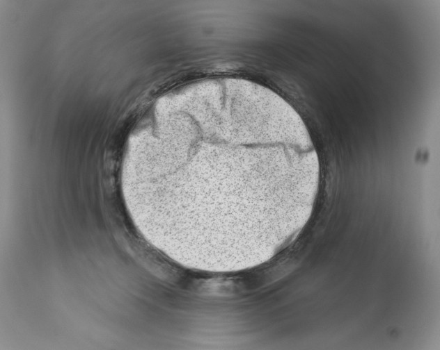 X0000112460366200909281027