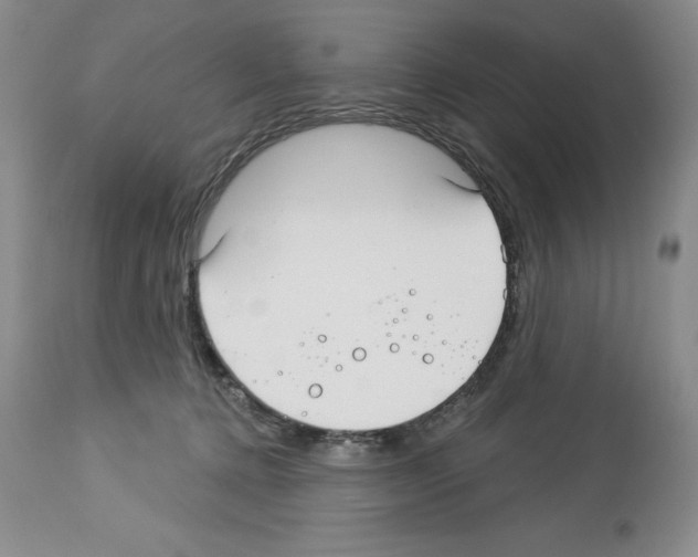 X0000112460368200909281027