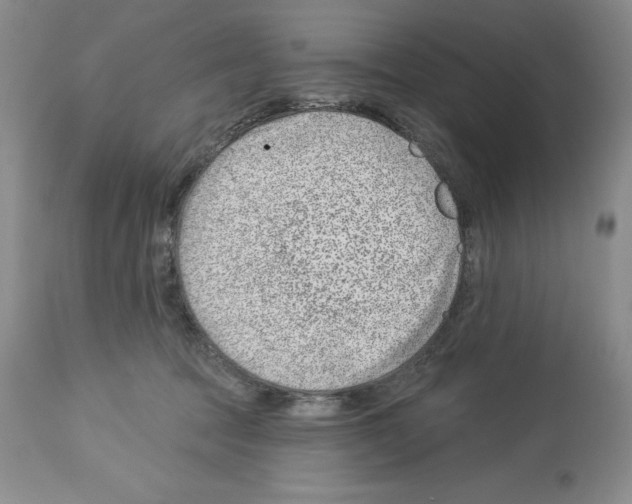 X0000112460369200909281027