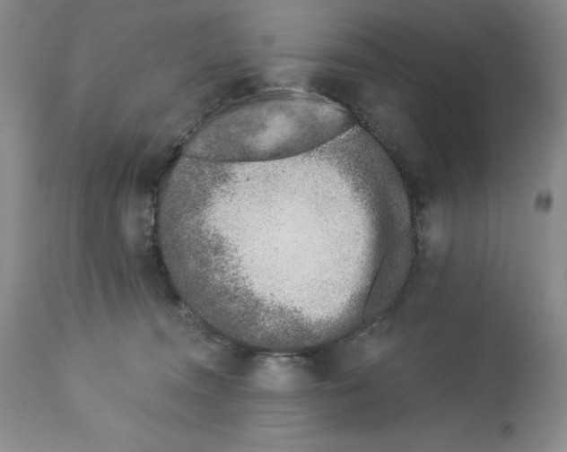 X0000112460372200909281027