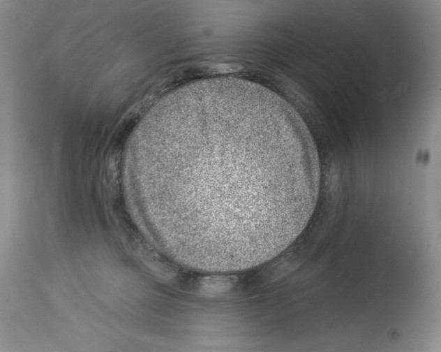 X0000112460373200909281027