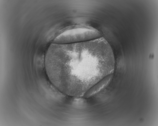X0000112460376200909281027